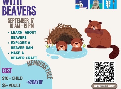 Beavers with Toddlers