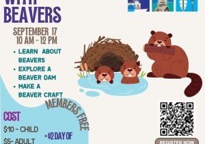 Beavers with Toddlers