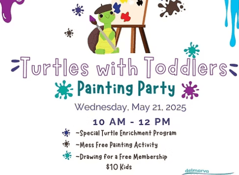 Turtles with Toddlers