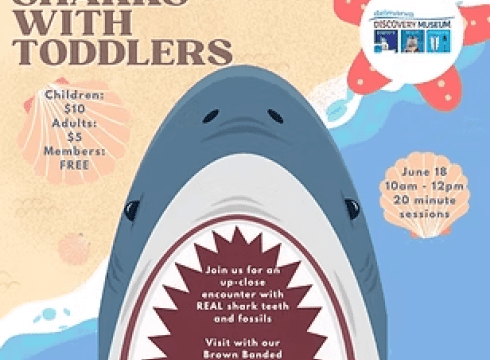 Sharks with Toddlers