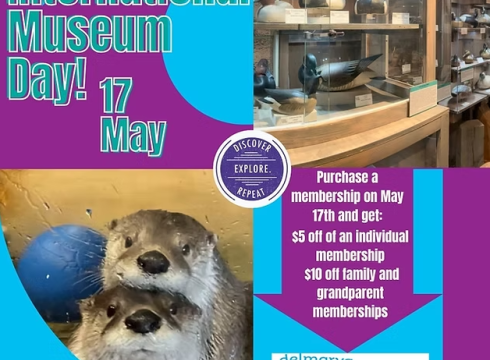 International Museum Day