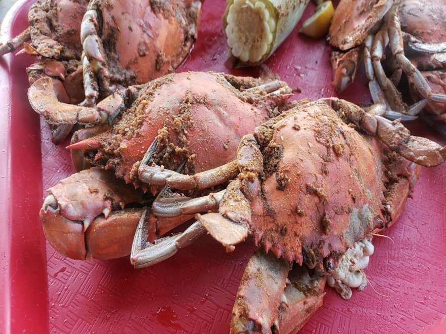 On the Bay Seafood