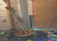 Sassy Beachwear Outlet