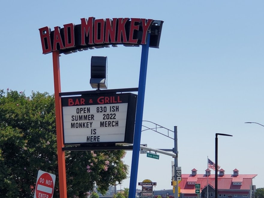 Bad Monkey West OC
